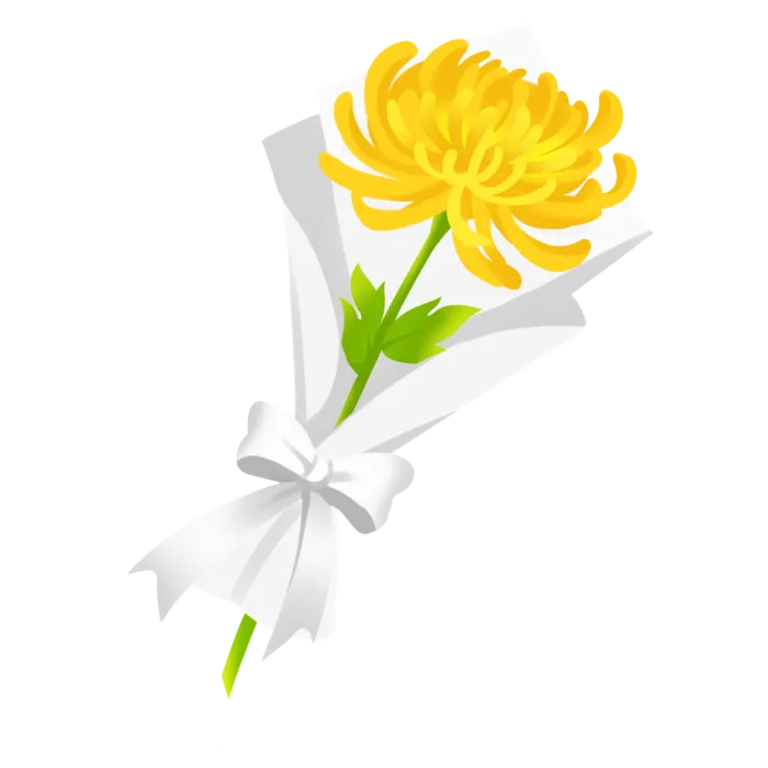 清明清明节文明祭扫菊花
