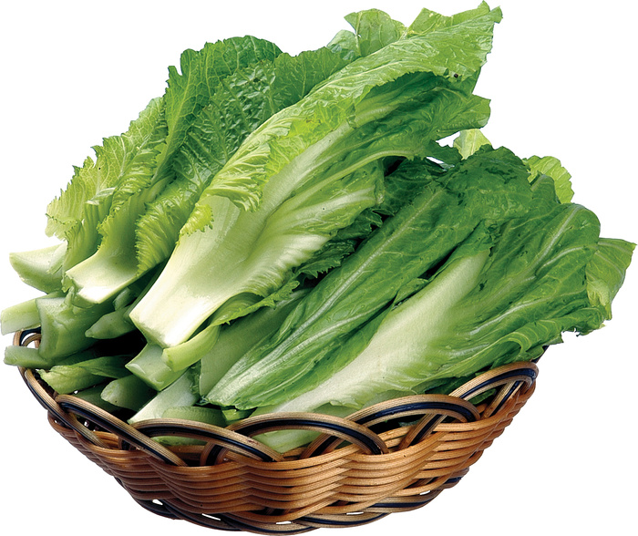 青菜