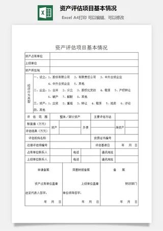 资产评估项目基本情况excel模板