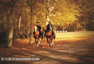 房地产素材树林里奔跑的骏马图片