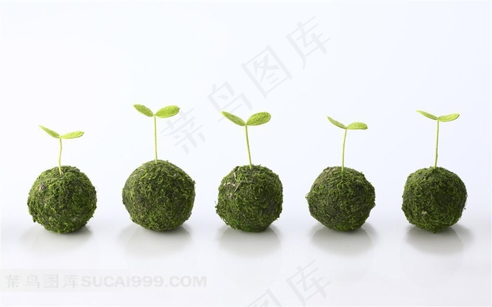 泥团豆芽环保背景