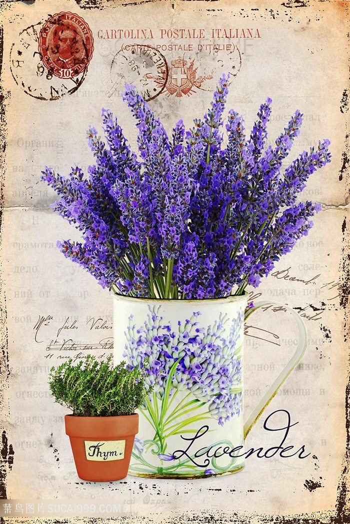 欧式薰衣草装饰
