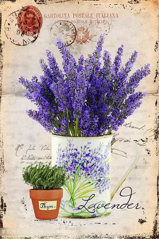 欧式薰衣草装饰