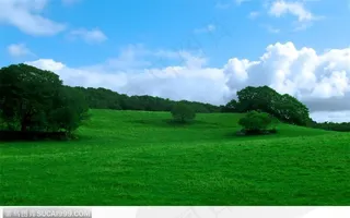 天空下的绿草地