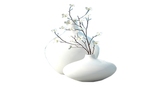 花瓶白色带花花免扣素材