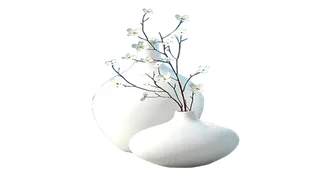 花瓶白色带花花免扣素材