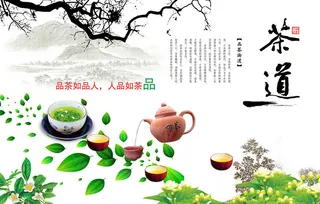 春茶上市茶叶psd背景