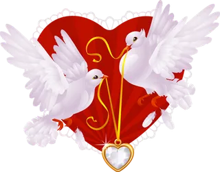 爱心鸽子白色