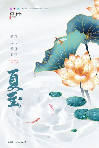 简约荷花24节气夏至海报