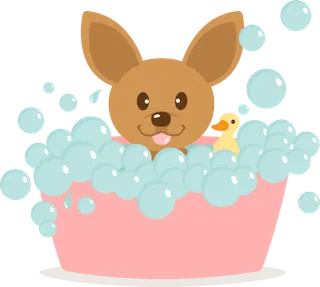 洗澡小兔子兔年
