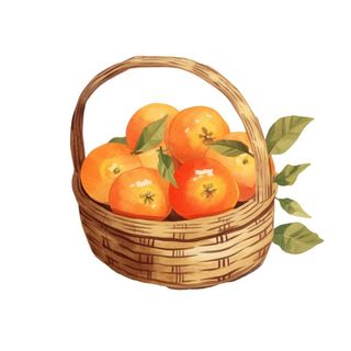 一篮橘子水果插画免抠