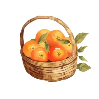 一篮橘子水果插画免抠