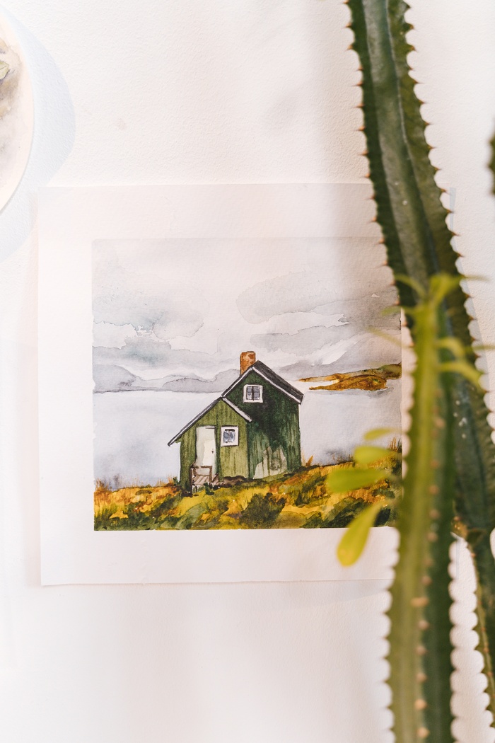 绿色仙人掌仙人球摄影素材