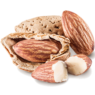 58巴旦木干果超市商品白底图免抠实物摄影png格式图片透明底