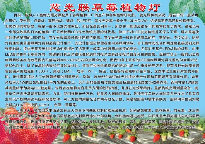 草莓植物灯 草莓海报psd模版下载
