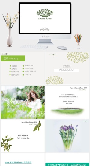简约小清新ppt模板预览图