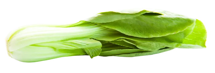 白菜蔬菜绿色