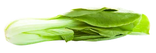 白菜蔬菜绿色