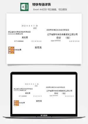 特快专递详情excel模板预览图