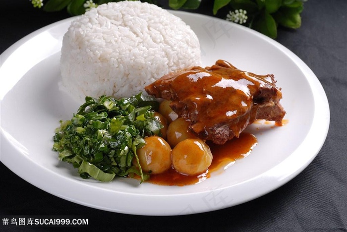 中华美食捞饭红烧土排骨捞饭实拍摄影图中华美食