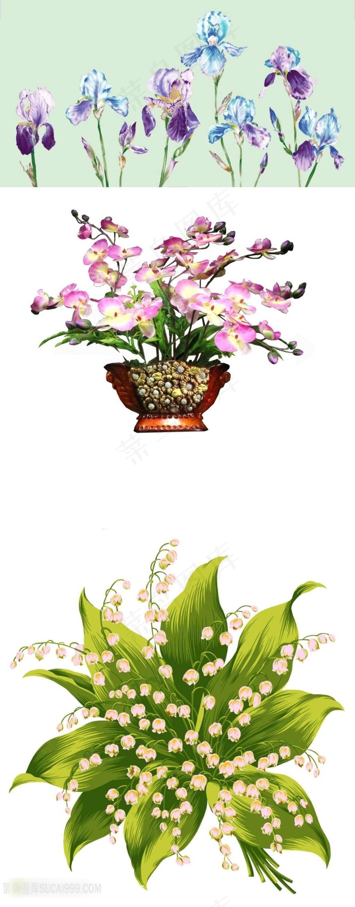 手绘兰花素材