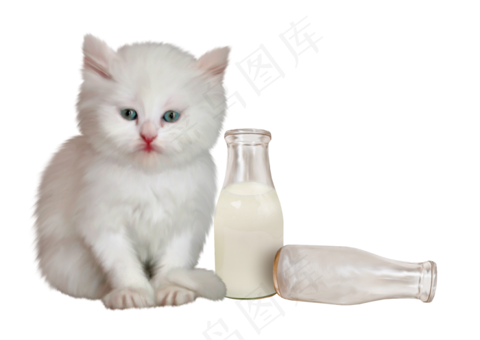 小猫奶瓶　
