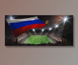 俄罗斯世界杯足球场摄影图