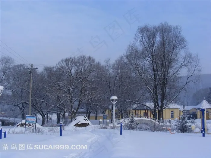 园林雪景摄影图片