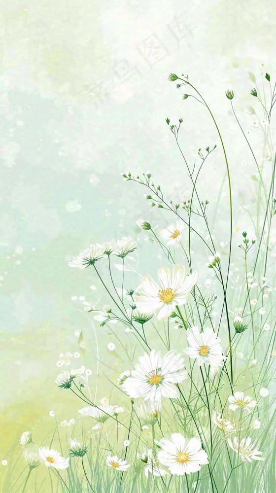 清新白色小花春天萌芽手绘，春分(816x1456)