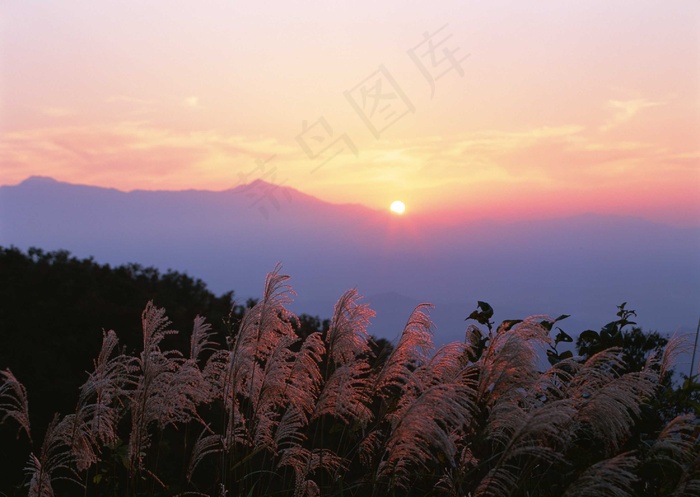夕阳图片