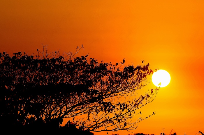 浪漫夕阳摄影