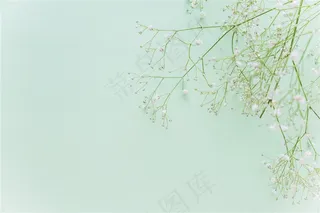 清新春季春天满天星蓝色桌面背景