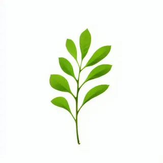 绿色叶子免抠元素