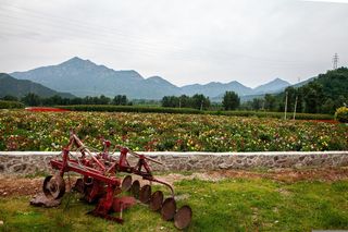 大山中的花圃田园