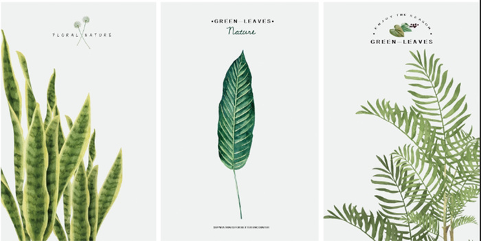 现代三联热带叶子装饰画