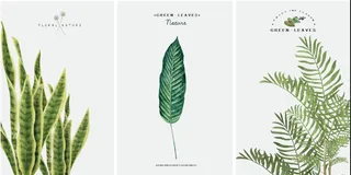 现代三联热带叶子装饰画