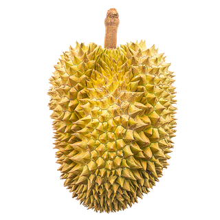 64榴莲 (4)水果超市商品白底图免抠实物摄影png格式图片透明底