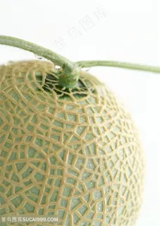 新鲜哈密瓜水果特写素材 新鲜哈密瓜水果特写素材
