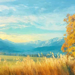 秋天黄色的树叶和草地肃杀的气氛，立秋，秋分