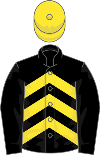 警示衣服黄色