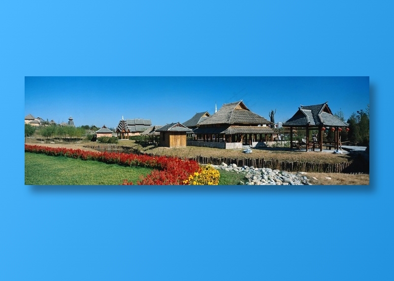 草地上鲜花丛边的茅草房