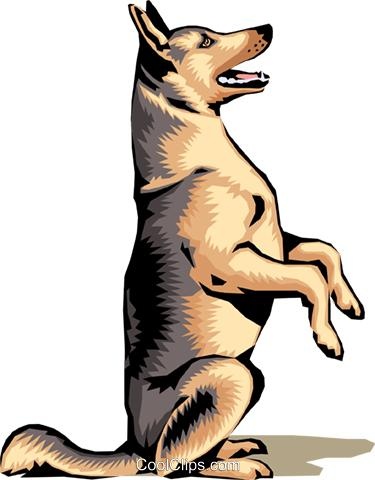 德国牧羊犬 PNG免抠(375x480)