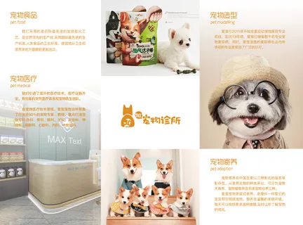 宠物三折页简约可爱狗狗 宠物三折页简约可爱狗狗
