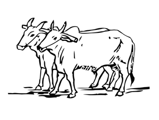 现代农业线条羊