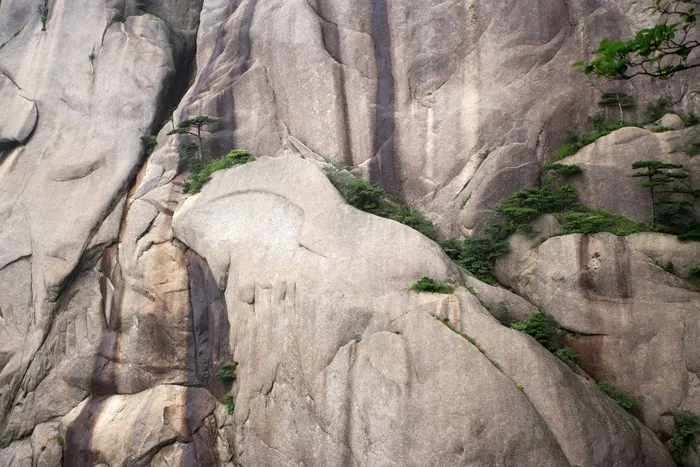 安徽黄山图片-第50张
