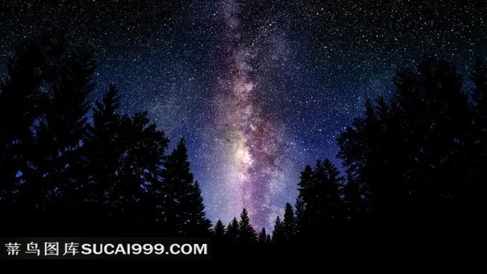 超大尺寸-树影与星空高清素材图