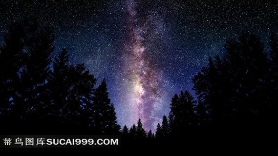 超大尺寸-树影与星空高清素材图