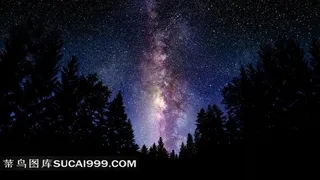 超大尺寸-树影与星空高清素材图