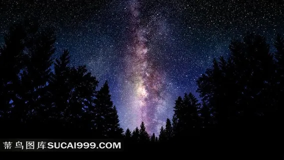 超大尺寸-树影与星空高清素材图 超大尺寸-树影与星空高清素材图