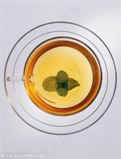 花草茶饮-玻璃杯中的薄荷水